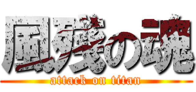 風殘の魂 (attack on titan)