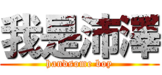 我是沛澤 (handsome boy)