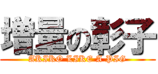 増量の彰子 (AKIKO LIKE A PIG)