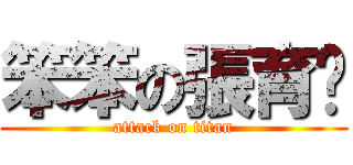 笨笨の張育瑄 (attack on titan)