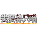 我要养只喵 (attack on titan)