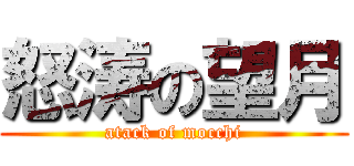 怒涛の望月 (atack of mocchi)