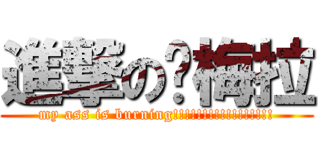 進撃の帕梅拉 (my ass is burning!!!!!!!!!!!!!!!!!)