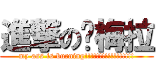 進撃の帕梅拉 (my ass is burning!!!!!!!!!!!!!!!!!)