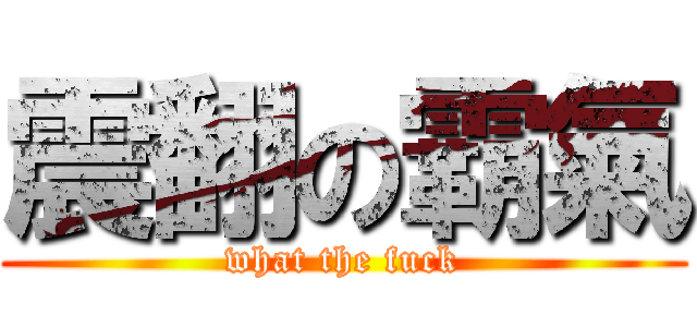震翻の霸氣 (what the fuck)