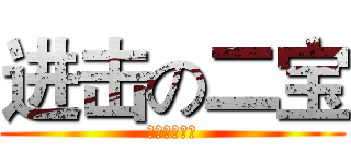 进击の二宝 (海贼王群管理)