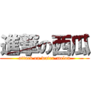 進撃の西瓜 (attack on water-melon)