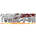 傻豬愛笨豬 (I LOVE YOU)