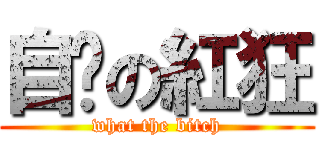 自婊の紅狂 (what the bitch)