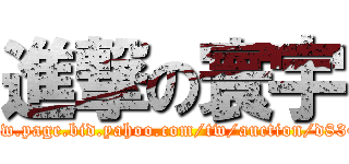 進撃の寰宇 (http://tw.page.bid.yahoo.com/tw/auction/d83403266)