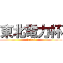 東北電力杯 (futsal)