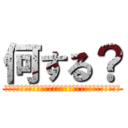 何する？ (何する？　どうする?　何しようね?どうしようね？　はっはぁ)