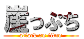 崖っぷち (attack on titan)