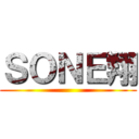 ＳＯＮＥ翔 ()