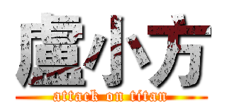 盧小方 (attack on titan)