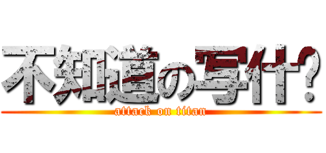 不知道の写什么 (attack on titan)