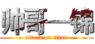 帅哥—锦 (attack on titan)