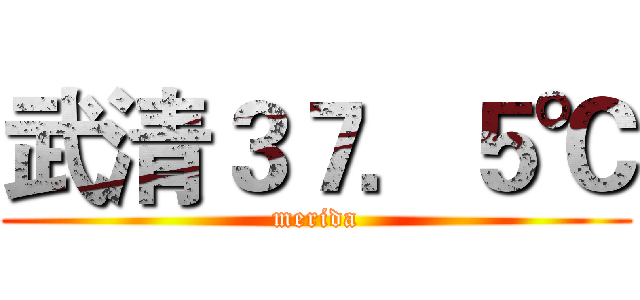 武清３７．５℃ (merida)