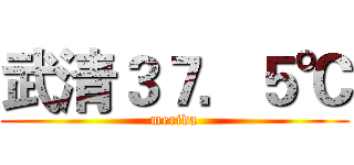 武清３７．５℃ (merida)