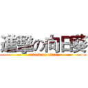 進擊の向日葵 (attack on titan)