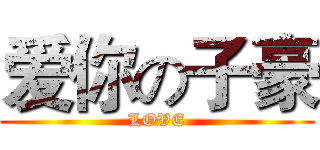 爱你の子豪 (LOVE)