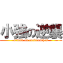 小強の逆襲 (attack on cockroaches)