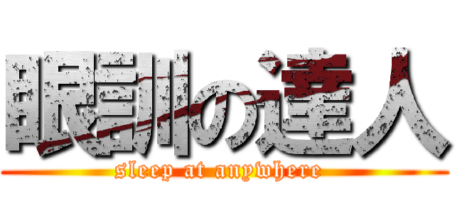 眼訓の達人 (sleep at anywhere )