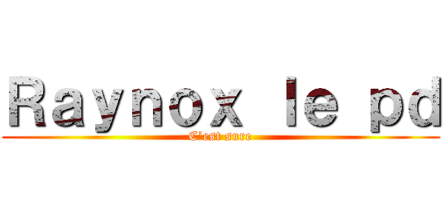 Ｒａｙｎｏｘ ｌｅ ｐｄ (C’est sure)