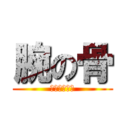 腕の骨 (地上最弱の骨)