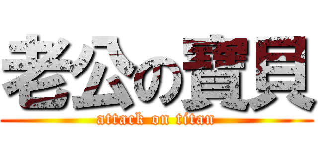老公の寶貝 (attack on titan)