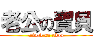 老公の寶貝 (attack on titan)