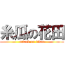糸瓜の花田 (attack on titan)