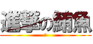 進撃の鮪魚 (淦)