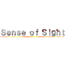 Ｓｅｎｓｅ ｏｆ Ｓｉｇｈｔ ()