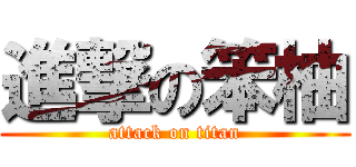進撃の笨柚 (attack on titan)
