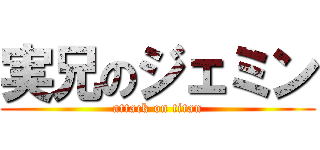 実兄のジェミン (attack on titan)