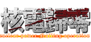 核電歸零 (nuclear power Nulling operation)