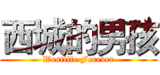 西城的男孩 (Westlife Forever)
