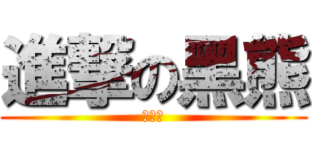 進撃の黑熊 (熊紫晴)