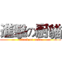 進擊の廚貓 (attack on neko)