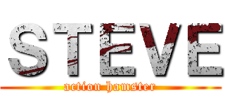 ＳＴＥＶＥ (action hamster)