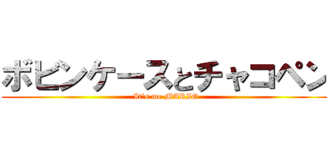 ボビンケースとチャコペン (It's me MARIO)