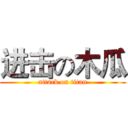 进击の木瓜 (attack on titan)