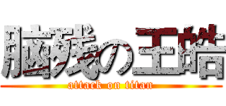 脑残の王皓 (attack on titan)