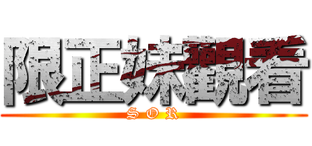 限正妹觀看 (S O R)