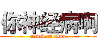 你神经病啊 (attack on titan)