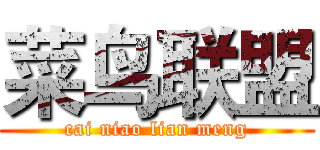 菜鸟联盟 (cai niao lian meng)