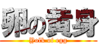 卵の黄身 (Yolk of egg)