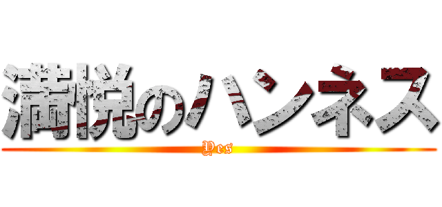 満悦のハンネス (Yes)