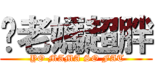妳老媽超胖 ( YO MAMA SO FAT)